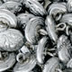 Scottish Thistle Uniform Buttons