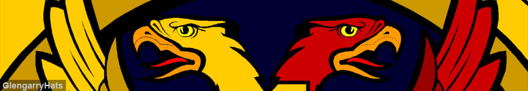 Clan Boyle Clan Crest 
