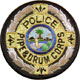 GlengarryHats.com Florida Police Drum Major Baldric Sash