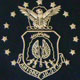 US Air Force JROTC Drum Major Baldric Sash