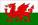 Wales Flag