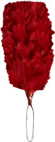 Red Feather Hackle