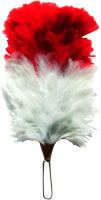 Red / White / Blue Feather Hackle